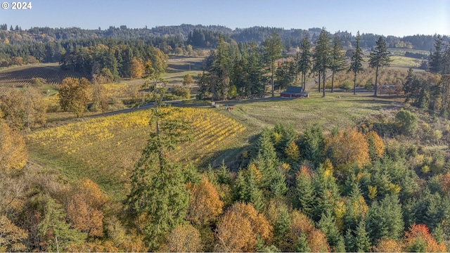 birds eye view of property with a rural view