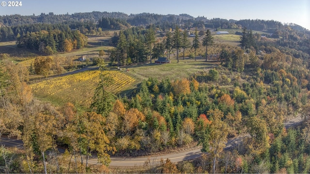 drone / aerial view featuring a rural view