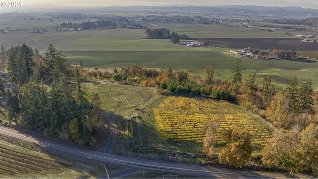 bird's eye view with a mountain view and a rural view