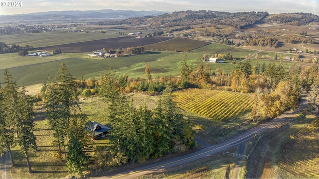 drone / aerial view featuring a mountain view and a rural view