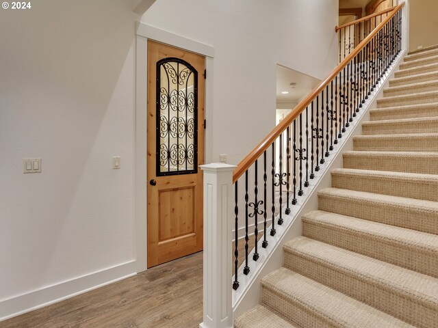 entrance foyer featuring wood-type flooring