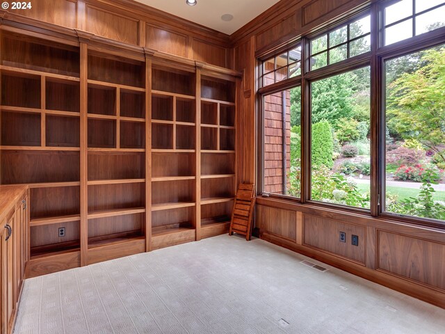 carpeted empty room with wood walls and a wealth of natural light