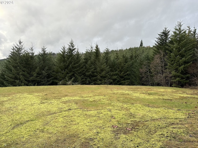 320 Bayswater Rd, Ariel WA, 98603 land for sale