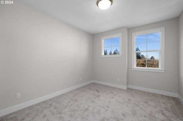 empty room featuring light colored carpet and a textured ceiling