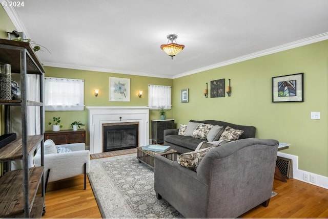 living room featuring crown molding and hardwood / wood-style flooring