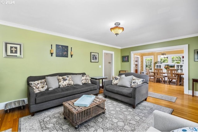 living room with wood-type flooring and crown molding