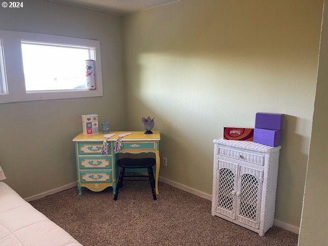 home office with carpet flooring