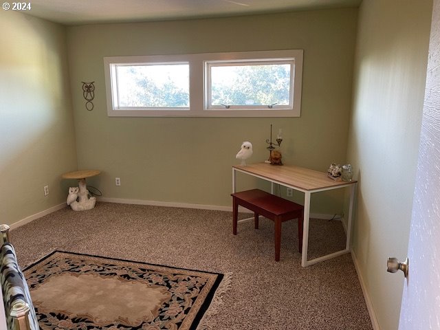 office area featuring carpet floors