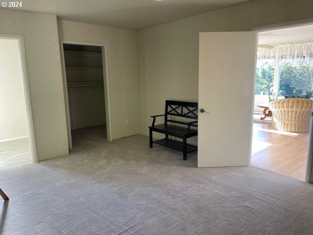 carpeted bedroom featuring a walk in closet and a closet