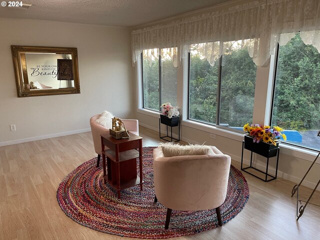 living area featuring a textured ceiling and light hardwood / wood-style floors