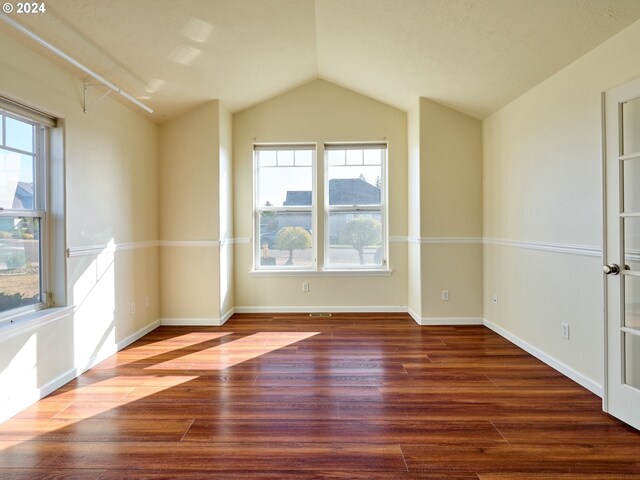 unfurnished room featuring lofted ceiling, dark wood-type flooring, and a wealth of natural light