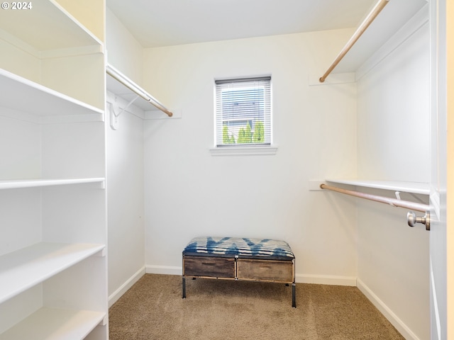 spacious closet featuring carpet floors