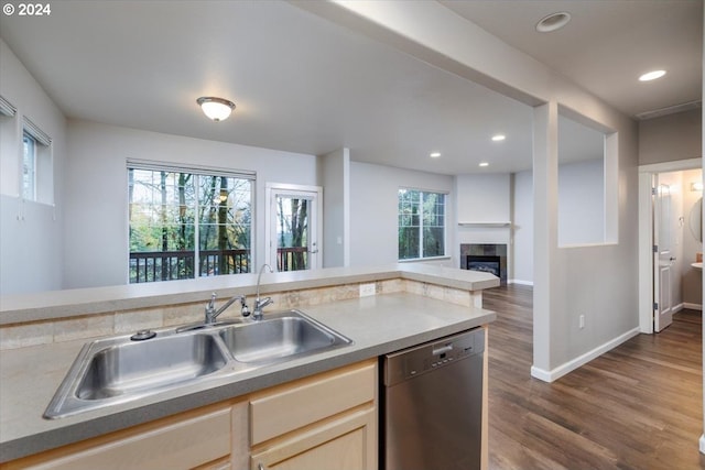 kitchen with a healthy amount of sunlight, sink, stainless steel dishwasher, and dark hardwood / wood-style floors