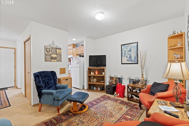 living room featuring light carpet and a textured ceiling