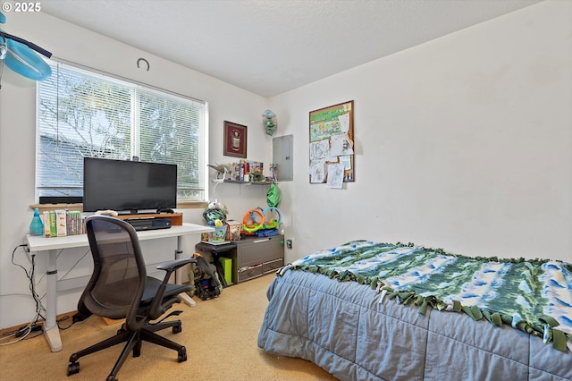 carpeted bedroom with a textured ceiling