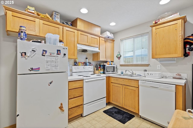 kitchen featuring sink, white appliances, and light brown cabinets