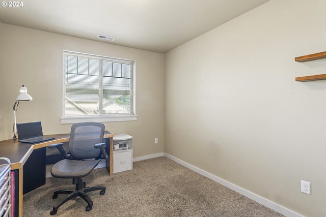 home office with carpet