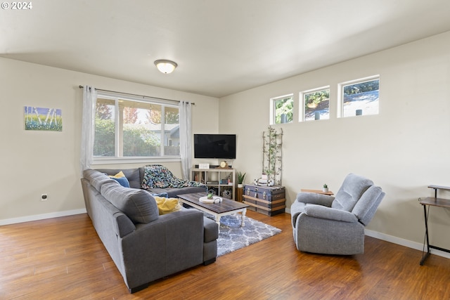 living room featuring a wealth of natural light and hardwood / wood-style floors