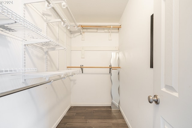 spacious closet with dark hardwood / wood-style flooring