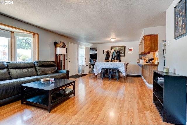 living room featuring a textured ceiling and light hardwood / wood-style floors