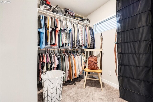 walk in closet featuring carpet