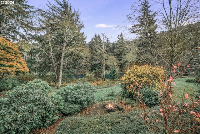 view of yard featuring a fire pit