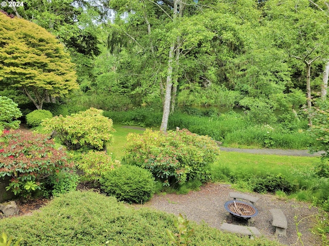 view of yard with a fire pit