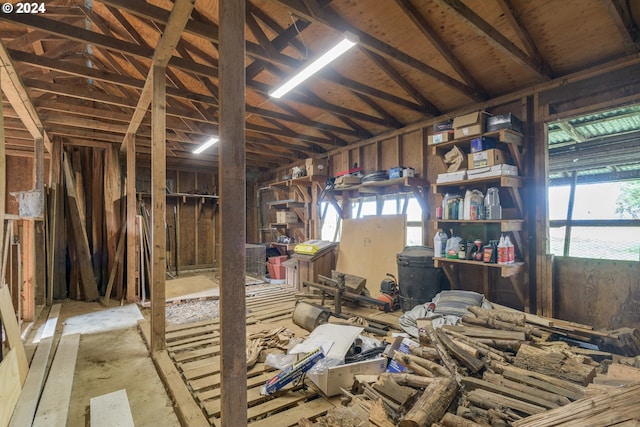 misc room with vaulted ceiling and plenty of natural light