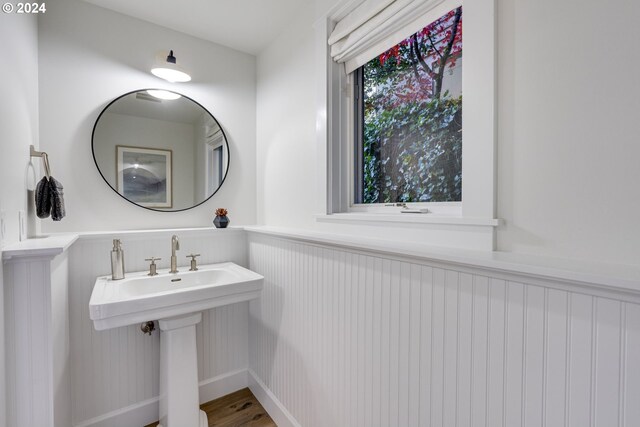 bathroom with sink and wood-type flooring