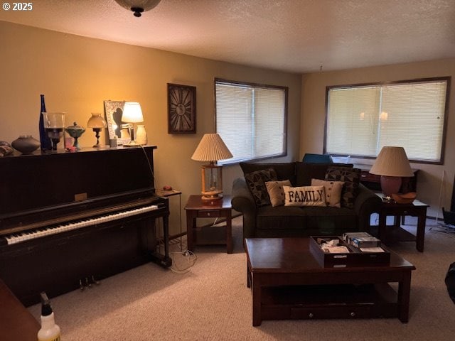 living room featuring a textured ceiling and carpet flooring