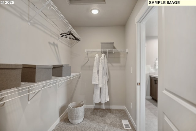 2236 Ash St Unit 21, Woodland, WA 98674 - walk in closet featuring light colored carpet