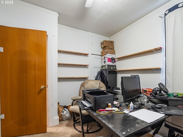 office space with light colored carpet and ornamental molding