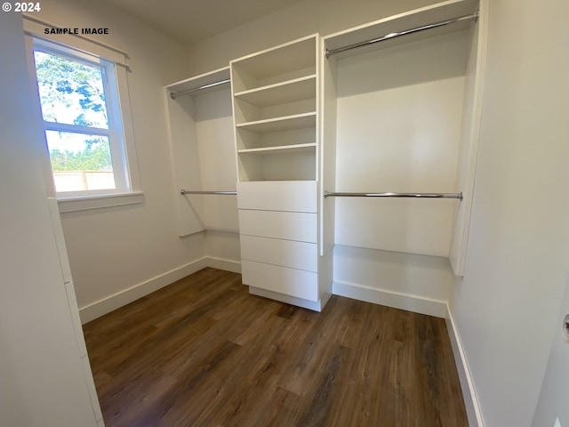 spacious closet featuring dark wood-type flooring