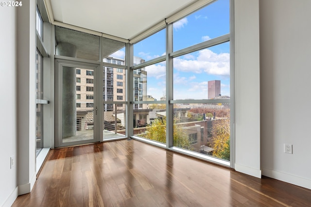 unfurnished room with a healthy amount of sunlight, wood-type flooring, and floor to ceiling windows