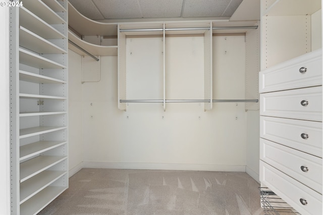 walk in closet with a drop ceiling and light colored carpet