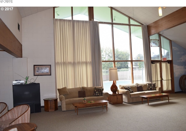 carpeted living room with expansive windows and high vaulted ceiling