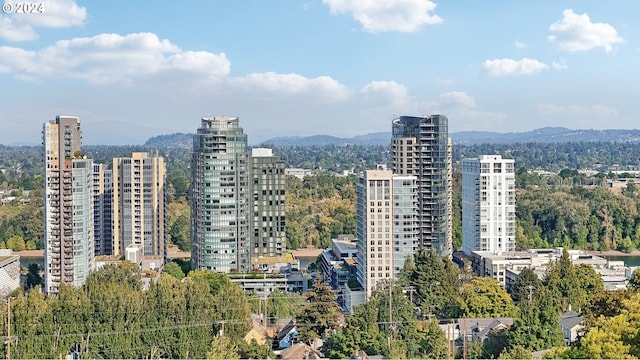 property's view of city with a mountain view