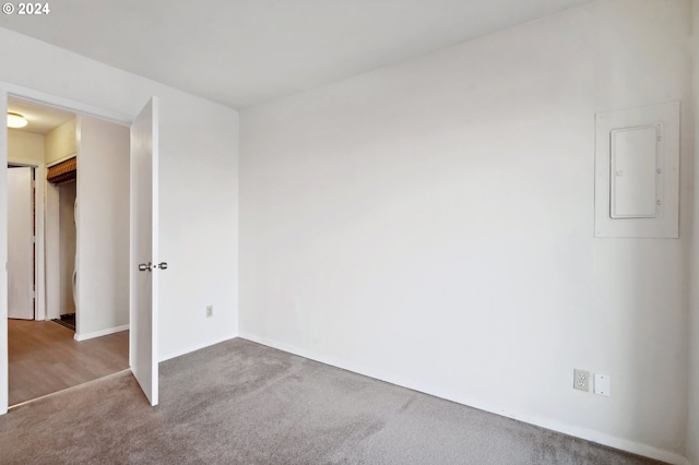 spare room featuring electric panel and carpet floors