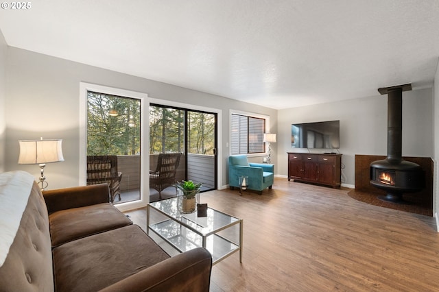 living room featuring hardwood / wood-style flooring and a wood stove