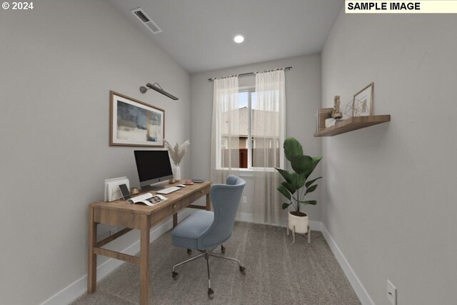 office featuring carpet floors