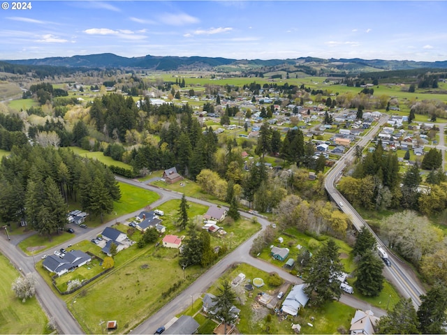 121 Jones Rd, Pe Ell, WA 98572 - birds eye view of property with a mountain view