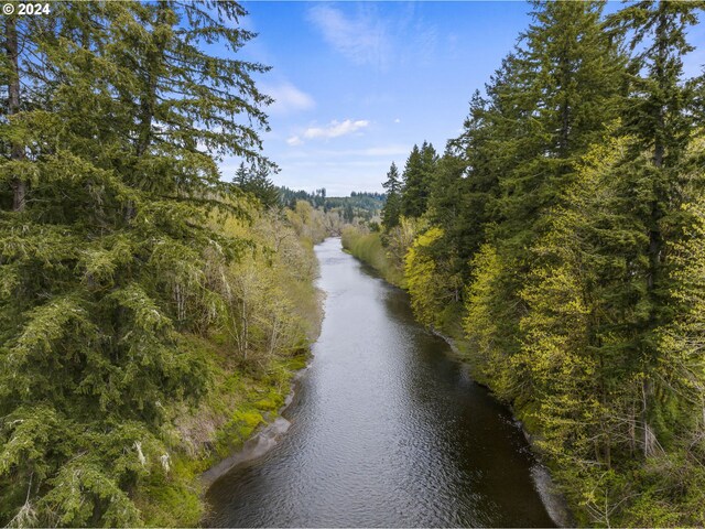121 Jones Rd, Pe Ell, WA 98572 - exterior space