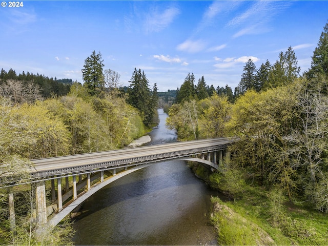 121 Jones Rd, Pe Ell, WA 98572 - view of dock featuring a water view