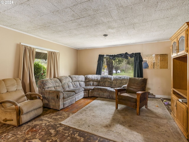 121 Jones Rd, Pe Ell, WA 98572 - living room featuring crown molding and dark hardwood / wood-style floors