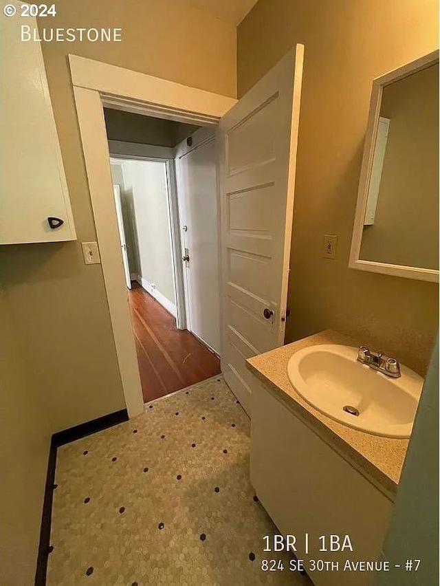 bathroom featuring wood-type flooring and vanity