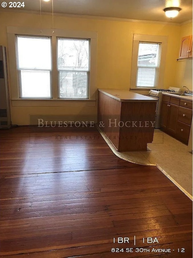 interior space with dark hardwood / wood-style floors