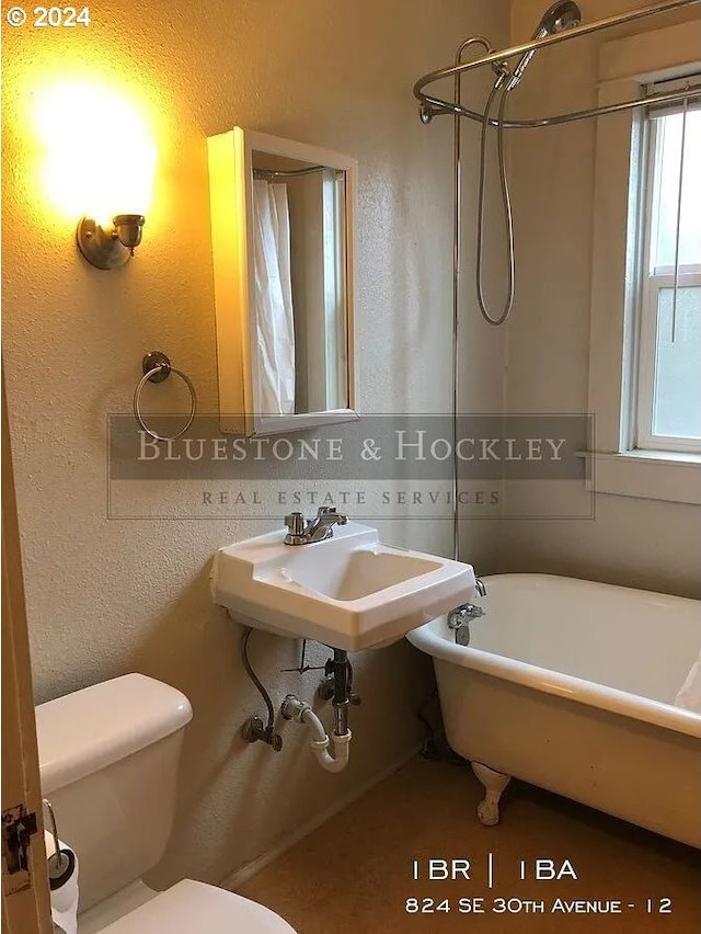 bathroom with sink and toilet