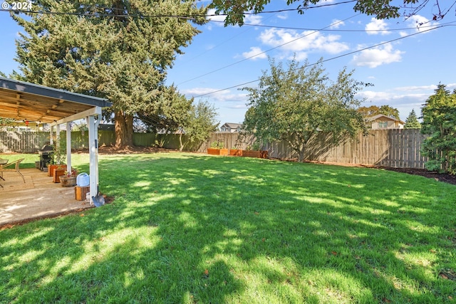 view of yard with a patio area