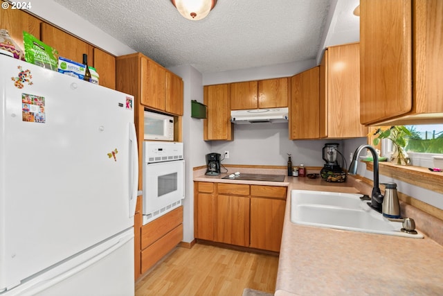 kitchen featuring a textured ceiling, light hardwood / wood-style flooring, sink, and white appliances