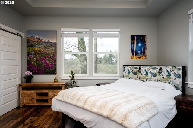 bedroom with a raised ceiling, a barn door, and dark hardwood / wood-style floors